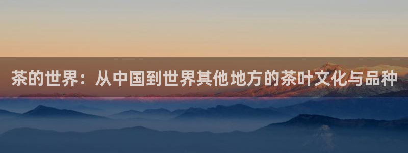 龙八国际app客户端下载安卓