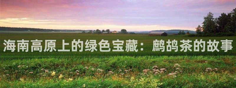 龙八国际娱乐 pt