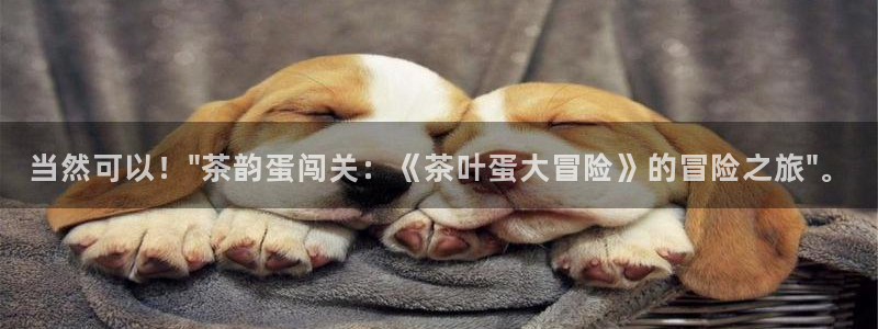 龙八国际娱乐实力如何