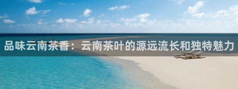 龙八国际登官网