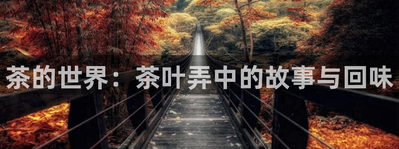 龙八国际mg老虎机