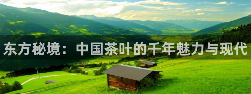 下载龙八国际官网