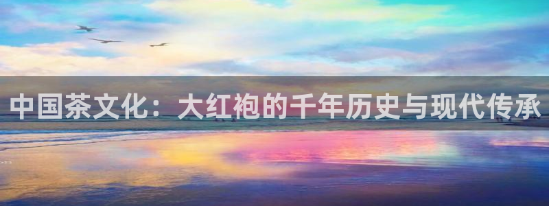 龙八国际下载链接安卓