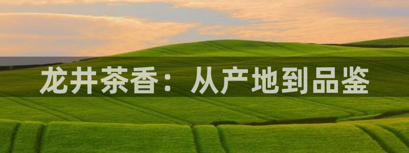 龙八国际代理登陆