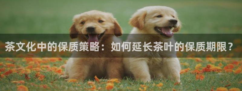 龙八国际官网产品介绍