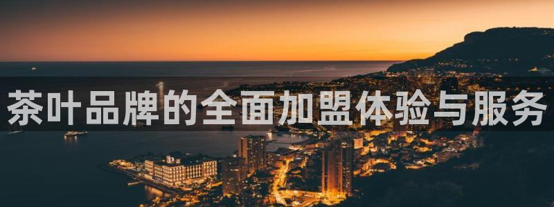 龙八国际APP客户