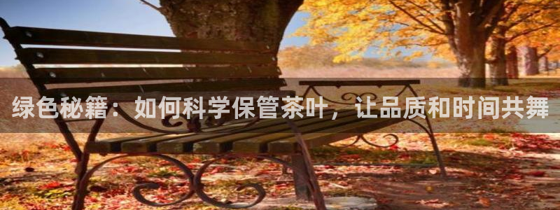 龙八国际官方网站pt