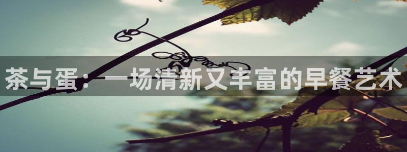 龙八国际集团有限公司