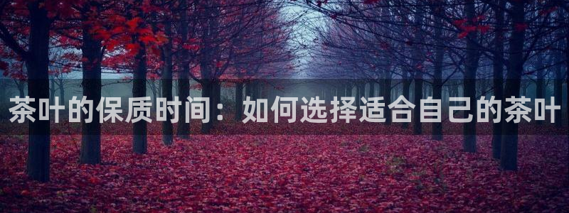 龙八国际能赢钱吗