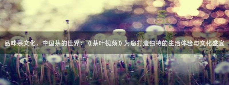 龙八国际正规吗