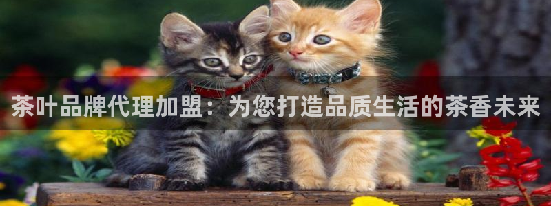 龙八国际娱乐下载