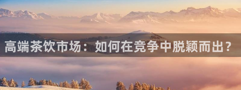 龙八国际app官方网站