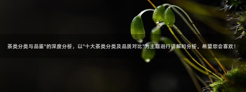 龙八国际登录f68点top